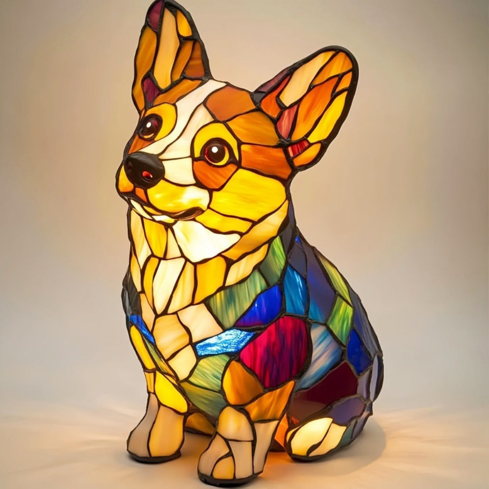 Corgi Delight
